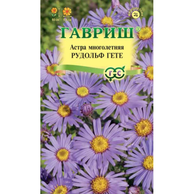 Изображение товара Семена Гавриш Астра рудольф гете. Итальянская 0.05 г