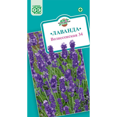 Изображение товара Семена Гавриш Лаванда узколистная Вознесенская 34 0,05 г