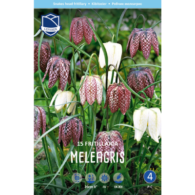 Изображение товара Фритиллярия Lefeber Meleagris 15 шт