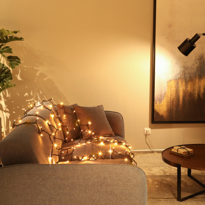 Изображение товара Гирлянда уличная Lotti 120 maxiled теплый белый 1,5+10 м со стартовым шнуром