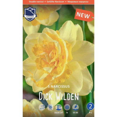 Изображение товара Нарцисс Lefeber Dick wilden 5 шт