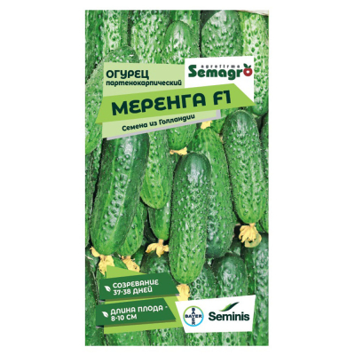 Изображение товара Семена огурца партенокарпик Меренга F1 Seminis Изображение товара Семена огурца партенокарпик Меренга F1 Seminis