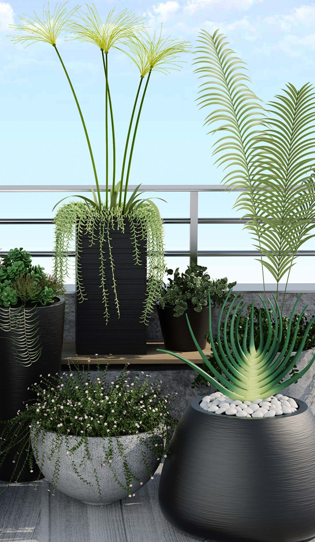 Скидки до 60% на растения!