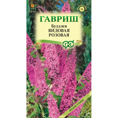 Изображение товара Семена буддлея видовая розовая 0,1 г Гавриш для ярких садов Изображение товара Семена буддлея видовая розовая 0,1 г Гавриш для ярких садов