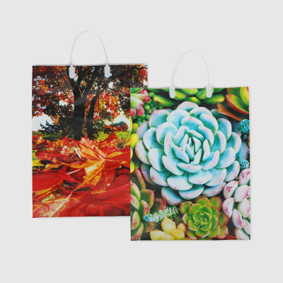 Изображение товара Сумка подарочная Мегамаг мягкий пластик PBL 32х42х10 см в ассортименте