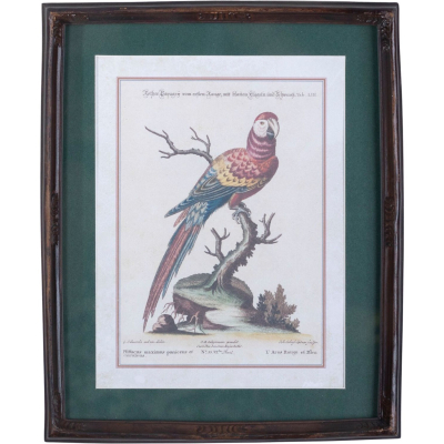 Изображение товара Панно Glasar попугай, под старину 22х2х27 см