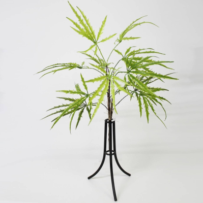 Изображение товара Искусственное растение Дизиготека Конэко-О зеленый 60 см для интерьера