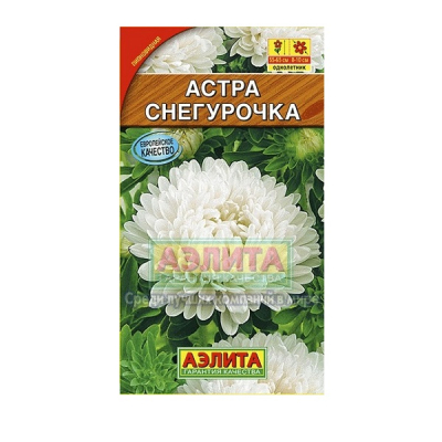 Изображение товара Астра "Снегурочка" Аэлита