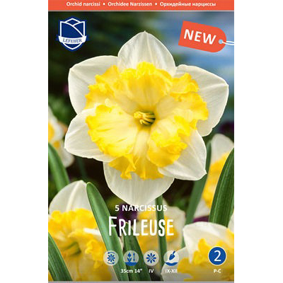Изображение товара Набор из 5 семян нарцисса Lefeber Frileuse для посадки в саду