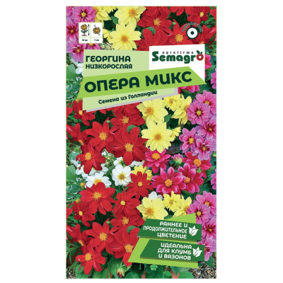 Изображение товара Семена георгины низкорослой опера микс Яркие цветы с июля по сентябрь