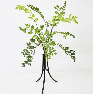 Изображение товара Куст садовый Конэко-О зеленый 60 см