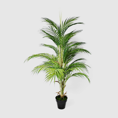 Изображение товара Искусственная пальма в кашпо Конэко-О K843 высота 115 см для интерьера