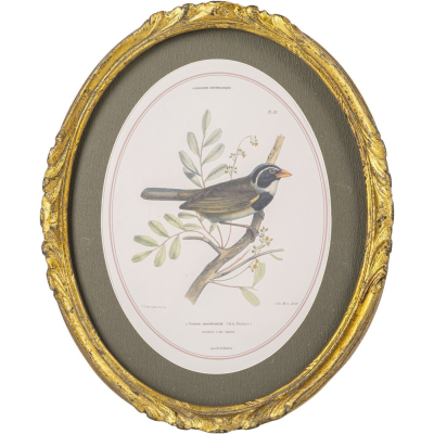 Изображение товара Настенное панно Glasar с изображением птицы 23х2х28 см