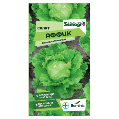 Изображение товара Семена салата аффик Айсберг устойчивый к стрелкованию 50-80 дней