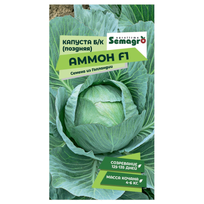 Изображение товара Семена Seminis капуста б/к аммон f1