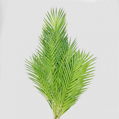Изображение товара Ветка пальмы Конэко-О декоративная 555843
