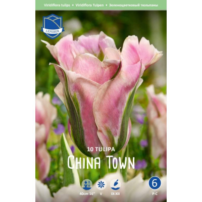 Изображение товара Набор семян тюльпанов Lefeber China town 10 шт для яркого весеннего цветения
