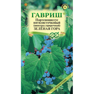Изображение товара Семена Гавриш Виноград прибрежный Зеленая гора 5 шт. для выращивания у себя на участке