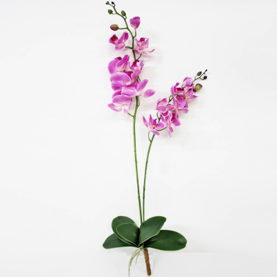 Изображение товара Орхидея фаленопсис с листьями Конэко-О KR_792 90 см