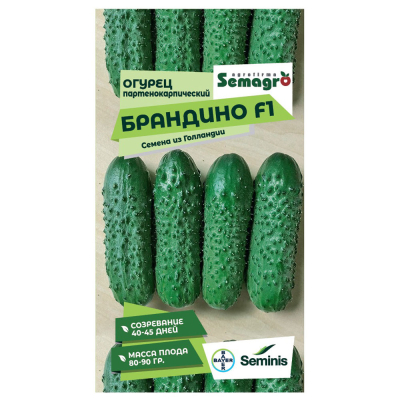 Изображение товара Семена Seminis огурец брандино f1