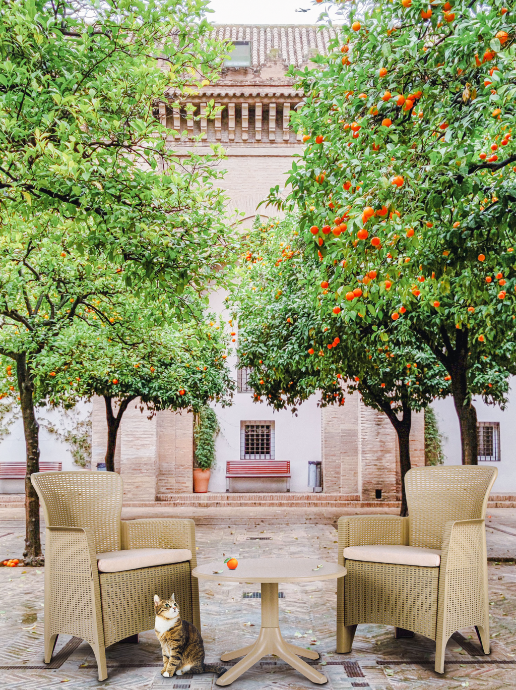 Садовая мебель Mandella!