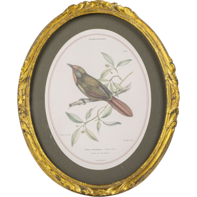 Изображение товара Панно Glasar птица, под старину 23х2х28 см