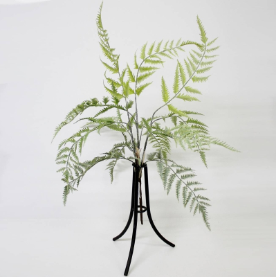 Изображение товара Папоротник Конэко-О KR_10134 60 см