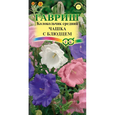 Изображение товара Семена Гавриш Колокольчик Чашка с блюдцем (средний) 0,05 г Изображение товара Семена Гавриш Колокольчик Чашка с блюдцем (средний) 0,05 г