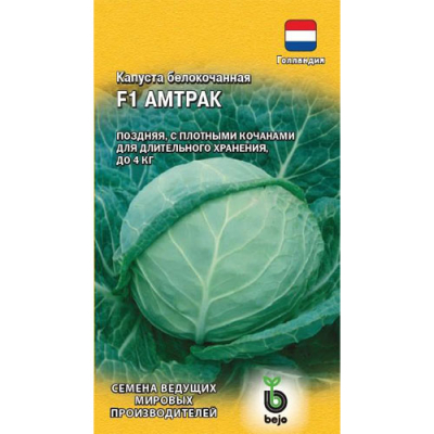 Изображение товара Капуста белокочанная Гавриш Амтрак F1 10 шт. (для хранения Голландия)
