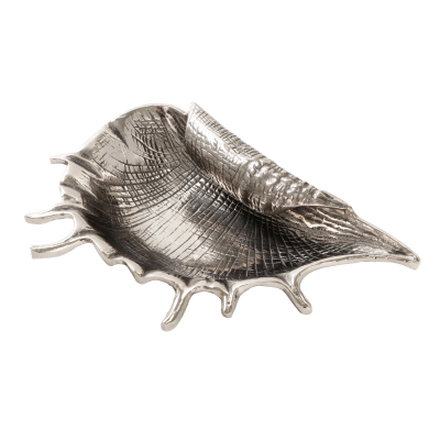 Изображение товара Декоративная раковина морская Universal ark shell 34х22х7