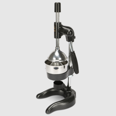 Изображение товара Пресс для фруктов Kale Termos Professional 1802