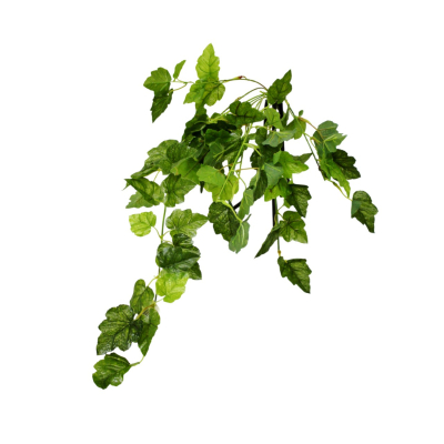 Изображение товара Плющ Конэко-О ампельный 80 см