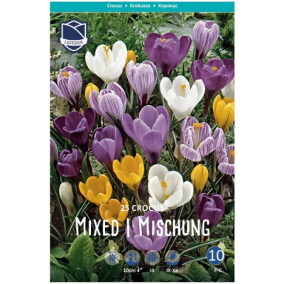 Изображение товара Смесь крокусов Lefeber Large flowering 10 шт - семена для яркого цветения весной