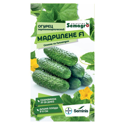 Изображение товара Семена огурца Мадрилене F1 партенокарпический гибрид 109 рублей