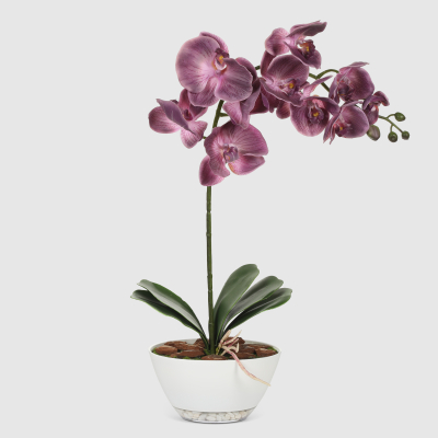 Изображение товара Орхидея Конэко-О 680_182 в кашпо-лодочке 55 см - искусственное комнатное растение