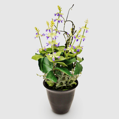 Изображение товара Искусственное растение Конэко-О в горшке фиолетовое 37 см Изображение товара Искусственное растение Конэко-О в горшке фиолетовое 37 см