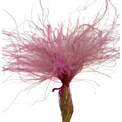 Изображение товара Сухоцвет Donna Flor стифа ковыль персиковый 40 см 25 г