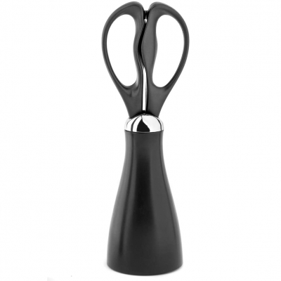 Изображение товара Кухонные ножницы в подставке Robert Welch Signature 24,5 см Изображение товара Кухонные ножницы в подставке Robert Welch Signature 24,5 см
