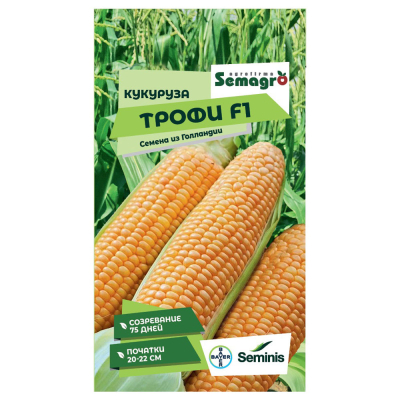 Изображение товара Семена Seminis кукуруза трофи f1