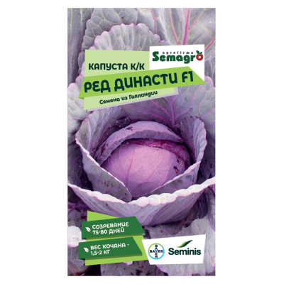 Изображение товара Семена Seminis капуста к/к ред династи f1