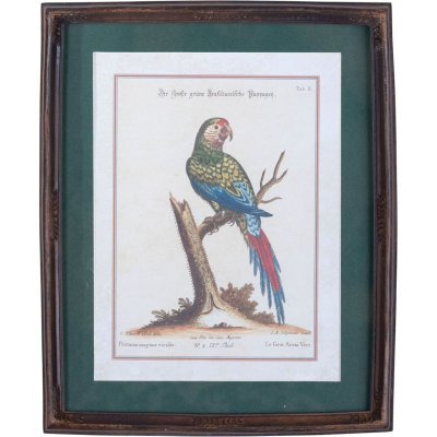 Изображение товара Панно вертикальное Glasar попугай, под старину 22х2х27 см