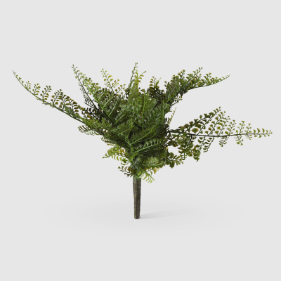 Изображение товара Папоротник Конэко-О зеленый 40 см