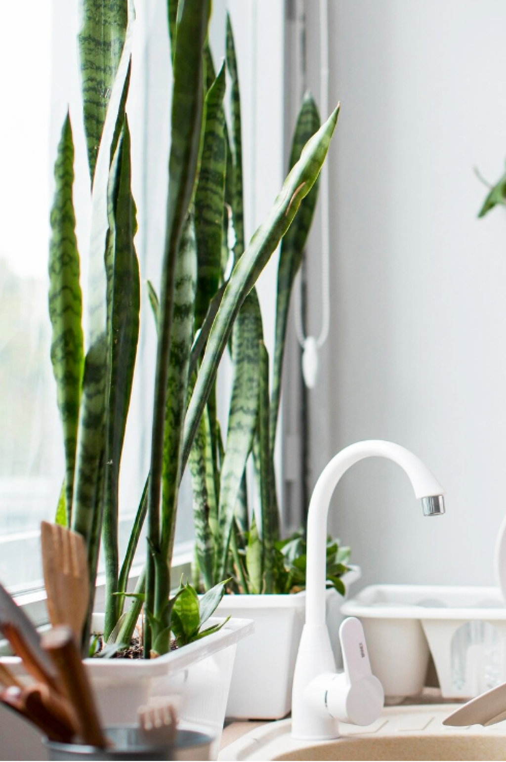 <span style="color:#33cccc">Новинка! </span>Аксессуары для дома Lidex!