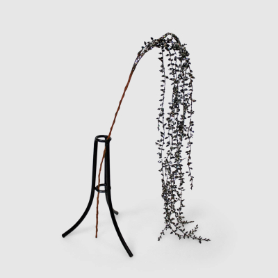 Изображение товара Искусственная веточка Конэко-О свисающая черная 10 см для декора интерьера Изображение товара Искусственная веточка Конэко-О свисающая черная 10 см для декора интерьера