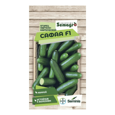 Изображение товара Семена Seminis огурец пчелоопыляемый сафаа f1 Изображение товара Семена Seminis огурец пчелоопыляемый сафаа f1