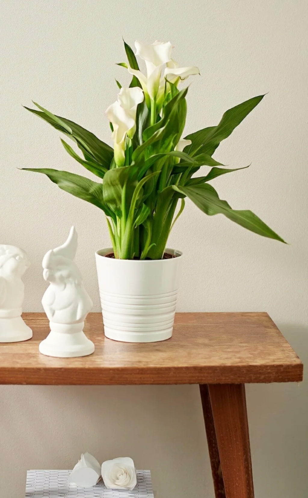 Скидки до 55% на кашпо Serinova!