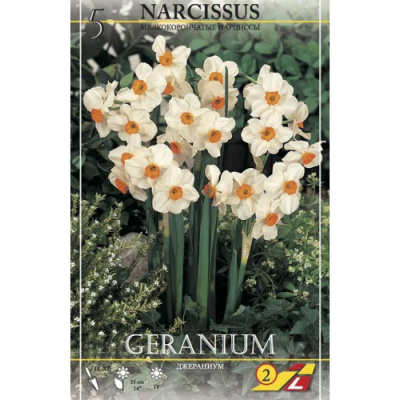 Изображение товара Нарцисс Lefeber Geranium 5 шт Изображение товара Нарцисс Lefeber Geranium 5 шт