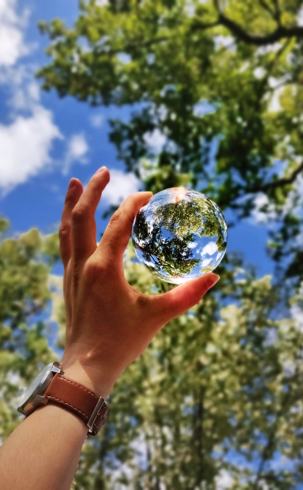 30 марта - День защиты Земли!