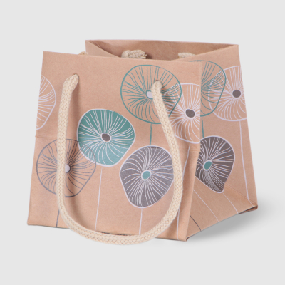 Изображение товара Пакет Dillewijin крафт блум 13х13х13см зеленый для подарков и упаковки