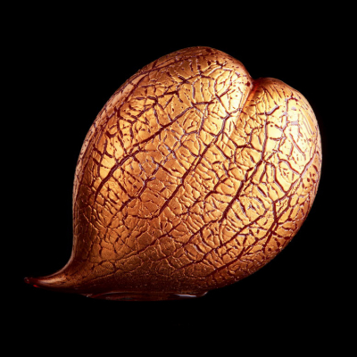 Изображение товара Фигурка Cose Belle Cose Rare Сердце малое из стекла мурано Изображение товара Фигурка Cose Belle Cose Rare Сердце малое из стекла мурано